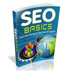SEO Basics - Increase Your Profitability Through SEO Secrets!