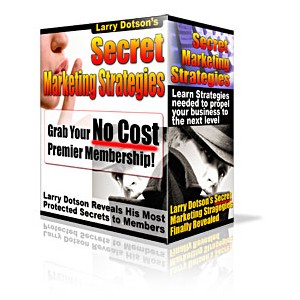 Secret Marketing Strategies Explained - (MRR)