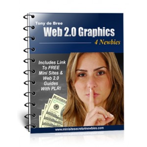Web 2.0 design For Newbies - (MRR)