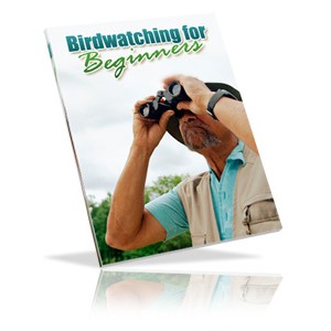Bird Watching For Beginners - (MRR)