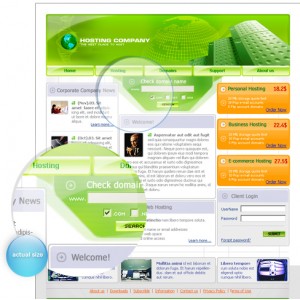 Flash Hosting Template
